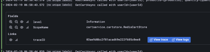 Example of extra fields on logs query - Zoomed